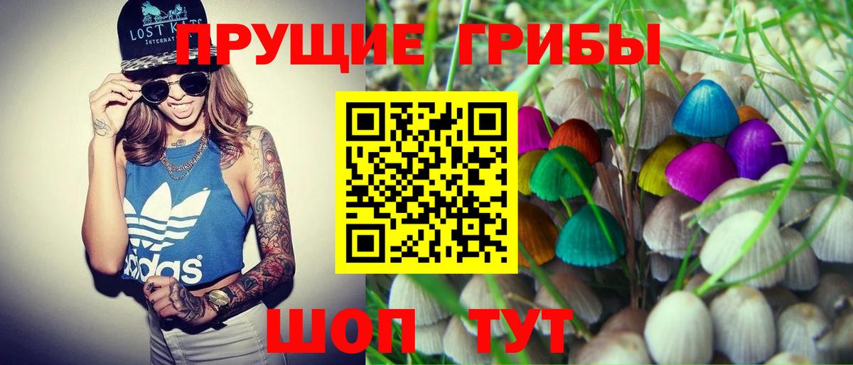 Псилоцибиновые грибы Psilocybe Арзамас