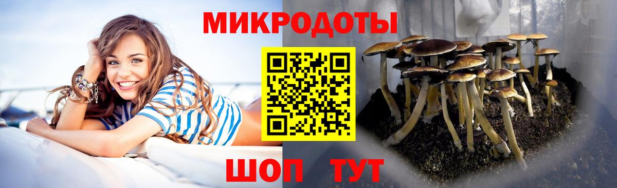 Арзамас  Галлюциногенные грибы прущие грибы  Вход с VPN 